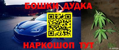 индика Апрелевка