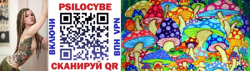 Псилоцибиновые грибы Psilocybine cubensis  Баксан 