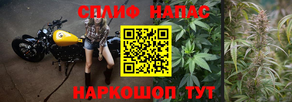 Канабис MAZAR Баксан